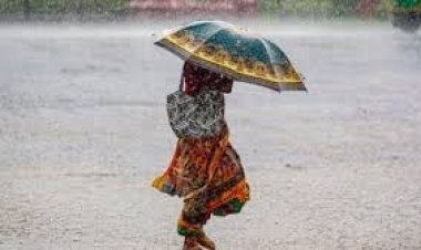 छत्तीसगढ़ में फिर बिगड़ेगा मौसम: सरगुजा और बिलासपुर समेत कई जिलों में बारिश-ओलावृष्टि का अलर्ट, अगले 48 घंटे भारी