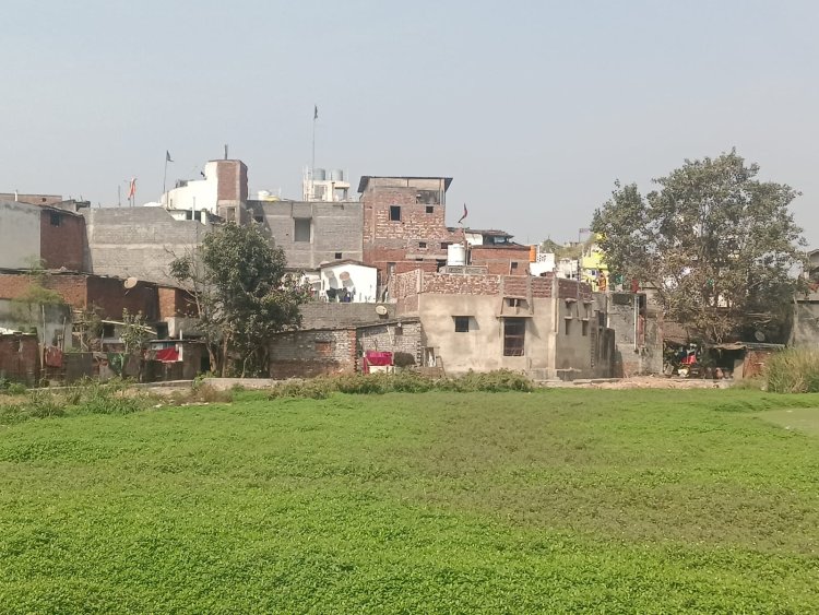 सर्वोदय तालाब पर बढ़ते अतिक्रमण को लेकर ग्रीन आर्मी संस्था ने उठाई आवाज।