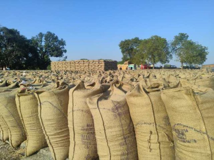 छत्तीसगढ़: 4 और 5 फरवरी को फिर होगी धान खरीदी,वंचित किसानों को मिलेगा मौका।