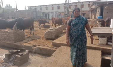 महतारी वंदन योजना बनी ग्रामीण महिलाओं का सहारा 25 किश्तों से श्रीमती रमोलिया यादव को मिली आर्थिक मजबूती ...