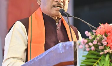 ग्रीन इकोनॉमी के क्षेत्र में चमक रहा छत्तीसगढ़, सीएम साय बोले- प्रकृति संरक्षण हमारी परंपरा ...