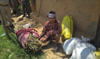 रायगढ़ में फिर अफीम की अवैध खेती का खुलासा, लैलूंगा के नवीन घटगांव में तीन खेतों में मिले पौधे ...