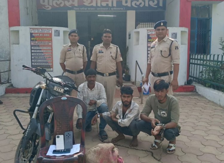 पलारी पुलिस की बड़ी कार्रवाई: अवैध शराब तस्करी के गिरोह का भंडाफोड़, 3 आरोपी गिरफ्तार