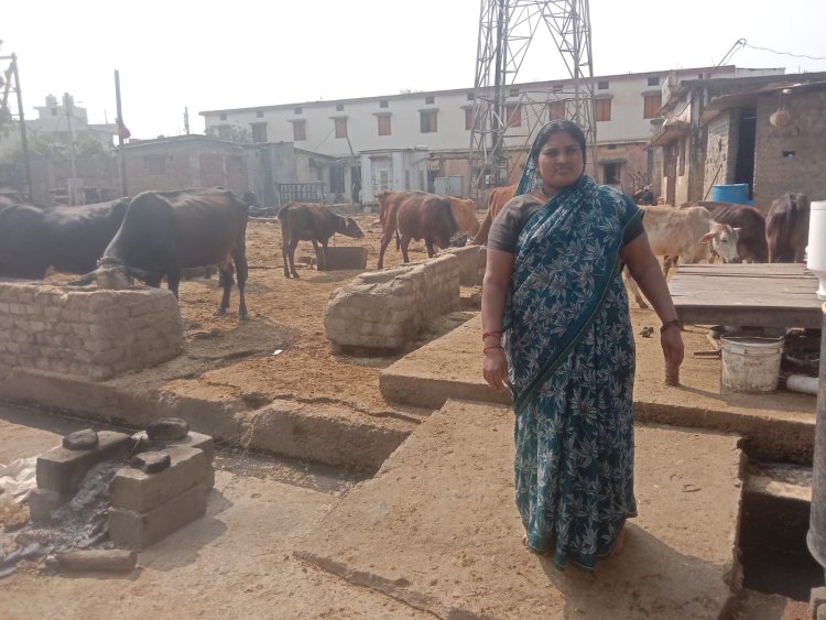 महतारी वंदन योजना बनी ग्रामीण महिलाओं का सहारा 25 किश्तों से श्रीमती रमोलिया यादव को मिली आर्थिक मजबूती ...