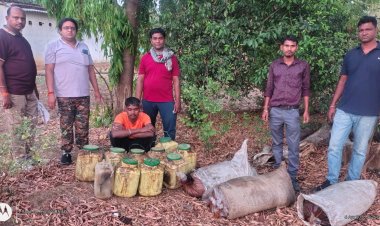 रतनपुर पुलिस की बड़ी कार्रवाई: 141 लीटर अवैध महुआ शराब के साथ कोचिया गिरफ्तार, भेजा गया जेल ...