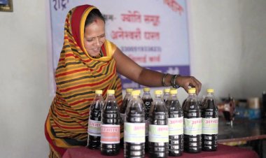 आत्मनिर्भरता की मिसाल: औराटोला बना बालोद का पहला लखपति दीदी ग्राम ...