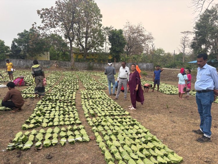 हरा सोना संग्राहकों की आय बढ़ाने की दिशा में बड़ा कदम ...