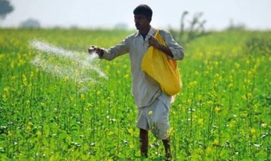 पूरे प्रदेश में खाद बीज का संकट, सरकार के रवैये को लेकर किसान चिंतित -कांग्रेस