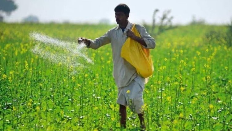 पूरे प्रदेश में खाद बीज का संकट, सरकार के रवैये को लेकर किसान चिंतित -कांग्रेस