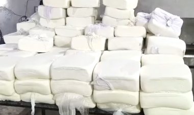 रायपुर में एनालाग पनीर का अवैध कारोबार हावी: 1.87 करोड़ की मशीनें खा रहीं धूल, 6 साल बाद भी शुरू नहीं हो सका डेयरी कॉलेज का प्रोसेसिंग प्लांट