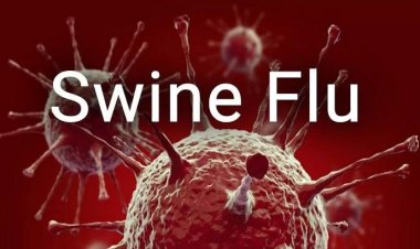 छत्तीसगढ़ में स्वाइन फ्लू (H1N1) के 158 मामले दर्ज, रायपुर में सर्वाधिक मरीज; राहत की बात—अब तक कोई जनहानि नहीं