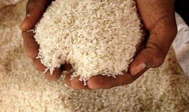 सार्वजनिक वितरण प्रणाली (PDS): सितंबर और अक्टूबर माह के एकमुश्त राशन का वितरण शुरू; 30 सितंबर तक उठा सकेंगे लाभ