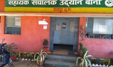 सहायक संचालक उद्यान बाना नर्सरी में अवैध पेड़ कटाई व शासकीय भवन के दुरुपयोग की शिकायत पर जांच, भारी अनियमितताएं उजागर